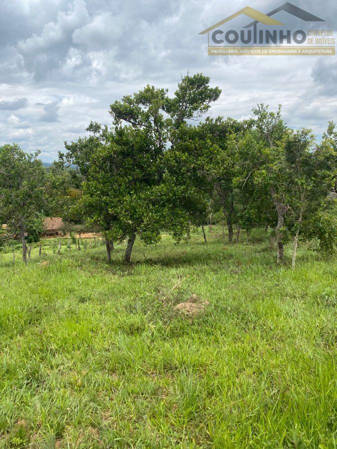 WhatsApp Image 2026-01-29 at 20.11.49.jpeg